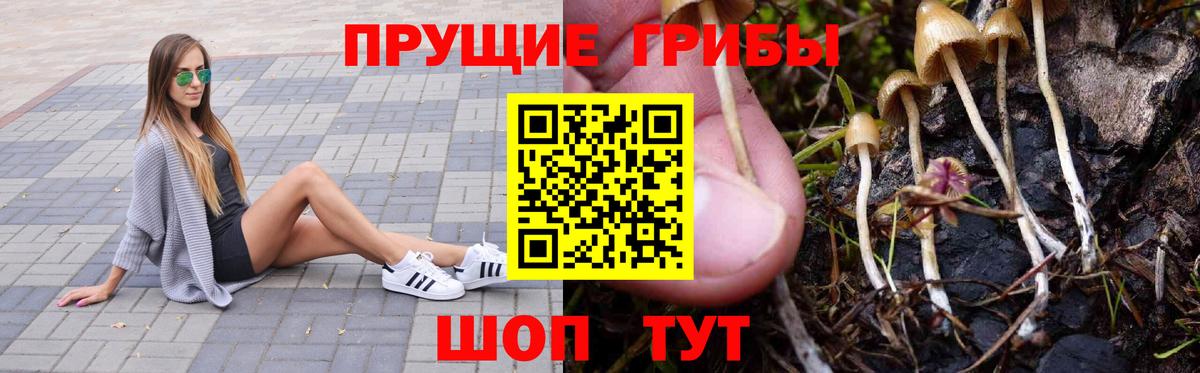 Псилоцибиновые грибы мицелий Джанкой